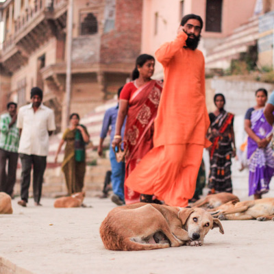 andresbrenner.com - Varanasi, Uttar Pradesh, North India-11